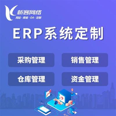 财务系统开发企业记账审批平台erp定制资产报表费控管理软件制作-析客网络